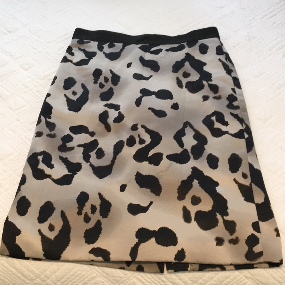 Ann Taylor Skirt